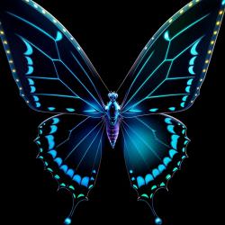 Bioluminescent Butterfly Bioluminescent Butterfly