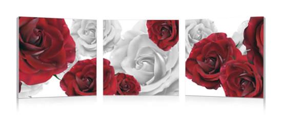 Pintura Con Rosas Rojas y Blancas