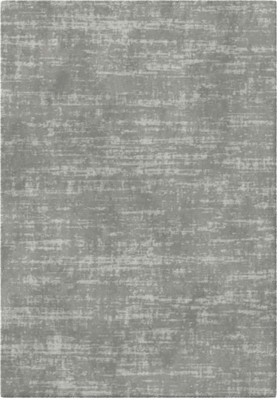 Interior Carpet Tropical Grey