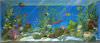 Fresque De Bricolage Transfrable Fournie Sur Support De Transfert Avec Transfert Direct De Couleur Sur La Surface  Dcorer. Dcorations Pour Enfants - Notre Composition