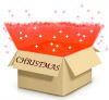 Christmas Surprise Box 150 