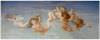 Fresco DIY transferable supplied on support transfer with direct transfer of color to the surface to be decorated. for headboard bed - Birth of Venus (especially angels) - by Alexandre Cabanel
