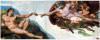 Fresque de bricolage transférable fournie sur support de transfert avec transfert direct de la couleur sur la surface à décorer. pour lit de tête de lit -Création d'Adamo- par Michelangelo