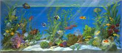  Decoration For Children is a product on offer at the best price