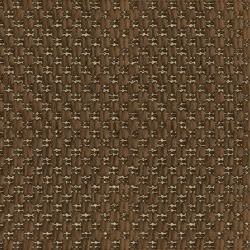 Home And Garden Carpet Dehors Brown