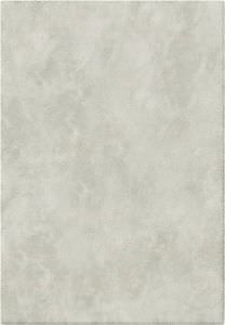 Tappeto Moderno Tropical Grigio Chiaro