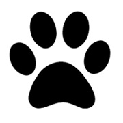 Four Paws