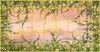 Ceiling Fresco